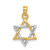 Image of 10k Yellow & White Gold Polished Star of David Pendant