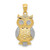 Image of 10K Yellow Gold & Rhodium Polished & Textured Owl Pendant