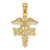 Image of 10K Yellow Gold Diamond-cut Polished RN Nurse Pendant