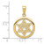 Image of 10K Yellow Gold Jewish Chi in Star of David Pendant