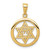 Image of 10K Yellow Gold Jewish Chi in Star of David Pendant