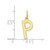 Image of 10K Yellow Gold Letter P Initial Charm 10XNA1336Y/P