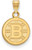 Image of 10K Yellow Gold NHL Boston Bruins Small Pendant by LogoArt (1Y002BRI)
