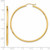 Image of 49mm 10k Yellow Gold Polished 2mm Tube Hoop Earrings 10T921
