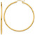 Image of 49mm 10k Yellow Gold Polished 2mm Tube Hoop Earrings 10T921