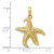 Image of 10K Yellow Gold Polished Open-Backed Starfish Pendant 10C2538