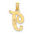 Image of 10k Yellow Gold Polished T Script Initial Pendant