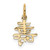 Image of 10K Yellow Gold Solid Polished Chinese Long Life Charm