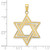 Image of 10K Yellow Gold Solid Polished Star of David Pendant