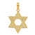 Image of 10k Yellow Gold Star of David Pendant 10C3988