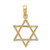 Image of 10k Yellow Gold Star of David Pendant 10D3801