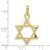 Image of 10K Yellow Gold Star of David Pendant 10K2298