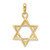 Image of 10K Yellow Gold Star of David Pendant 10K2298