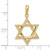Image of 10K Yellow Gold Star of David Pendant 10K544