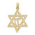 Image of 10K Yellow Gold Star of David W/ Chi Center Pendant