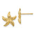 Image of 10k Yellow Gold Starfish Earrings 10E908