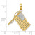 Image of 10K Yellow Gold w/ Rhodium American Flag Pendant