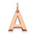 Image of 14K Rose Gold Letter A Initial Charm XNA1337R/A