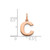 Image of 14K Rose Gold Letter C Initial Charm XNA1337R/C