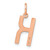 Image of 14K Rose Gold Letter K Initial Charm XNA1336R/K