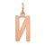 Image of 14K Rose Gold Letter N Initial Charm XNA1336R/N