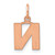 Image of 14K Rose Gold Letter N Initial Charm XNA1337R/N