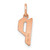 Image of 14K Rose Gold Letter P Initial Charm XNA1335R/P