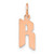 Image of 14K Rose Gold Letter R Initial Charm XNA1335R/R