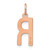 Image of 14K Rose Gold Letter R Initial Charm XNA1336R/R