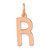 Image of 14K Rose Gold Letter R Initial Charm XNA1336R/R