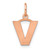 Image of 14K Rose Gold Letter V Initial Charm XNA1337R/V