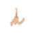 Image of 14K Rose Gold Lower case Letter M Initial Charm XNA1306R/M