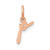 Image of 14K Rose Gold Lower case Letter P Initial Charm XNA1306R/P
