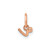 Image of 14K Rose Gold Lower case Letter R Initial Charm XNA1306R/R
