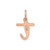 Image of 14K Rose Gold Lower case Letter T Initial Charm XNA1307R/T