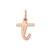 Image of 14K Rose Gold Lower case Letter T Initial Charm XNA1307R/T