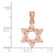 Image of 14k Rose Gold Polished Star of David Pendant