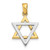 Image of 14k Two-tone Gold 3-D Jewish Star of David Pendant