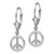 Image of 10.1mm 14k White Gold 3-D Peace Symbol Leverback Earrings TF1799W