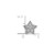 Image of 14k White Gold Diamond Star Slide Pendant