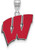 Image of 14k White Gold LogoArt University of Wisconsin Large Epoxied Pendant
