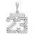 Image of 14K White Gold Small Shiny-Cut Number 23 Charm