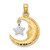 Image of 14K Yellow & White Gold Polished Open-Backed Half Moon & Star Pendant