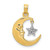 Image of 14K Yellow & White Gold Polished Open-Backed Half Moon & Star Pendant