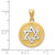 Image of 14K Yellow & White Gold Solid Satin Finish Flat Back Star Of David Disc Pendant