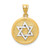 Image of 14K Yellow & White Gold Solid Satin Finish Flat Back Star Of David Disc Pendant