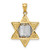 Image of 14K Yellow & White Gold Star Of David w/ Torah Pendant
