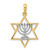 Image of 14K Yellow Gold & Rhodium Solid Menorah In Star Of David Pendant