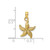 Image of 14K Yellow Gold 2-D Textured Starfish Pendant K7701