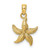 Image of 14K Yellow Gold 2-D Textured Starfish Pendant K7701